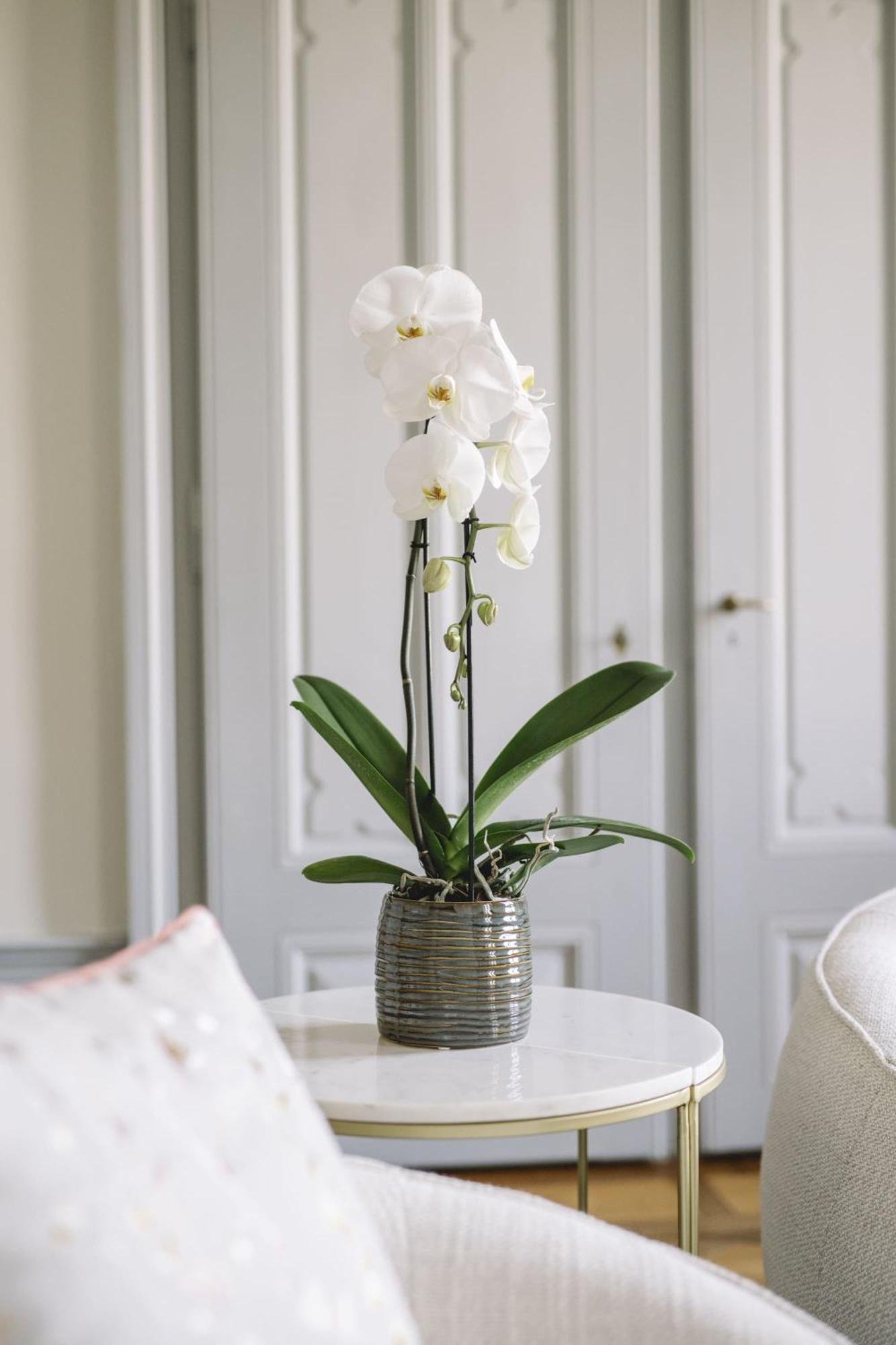 Chateau De L'Aile- Boutique Suites 브베 외부 사진