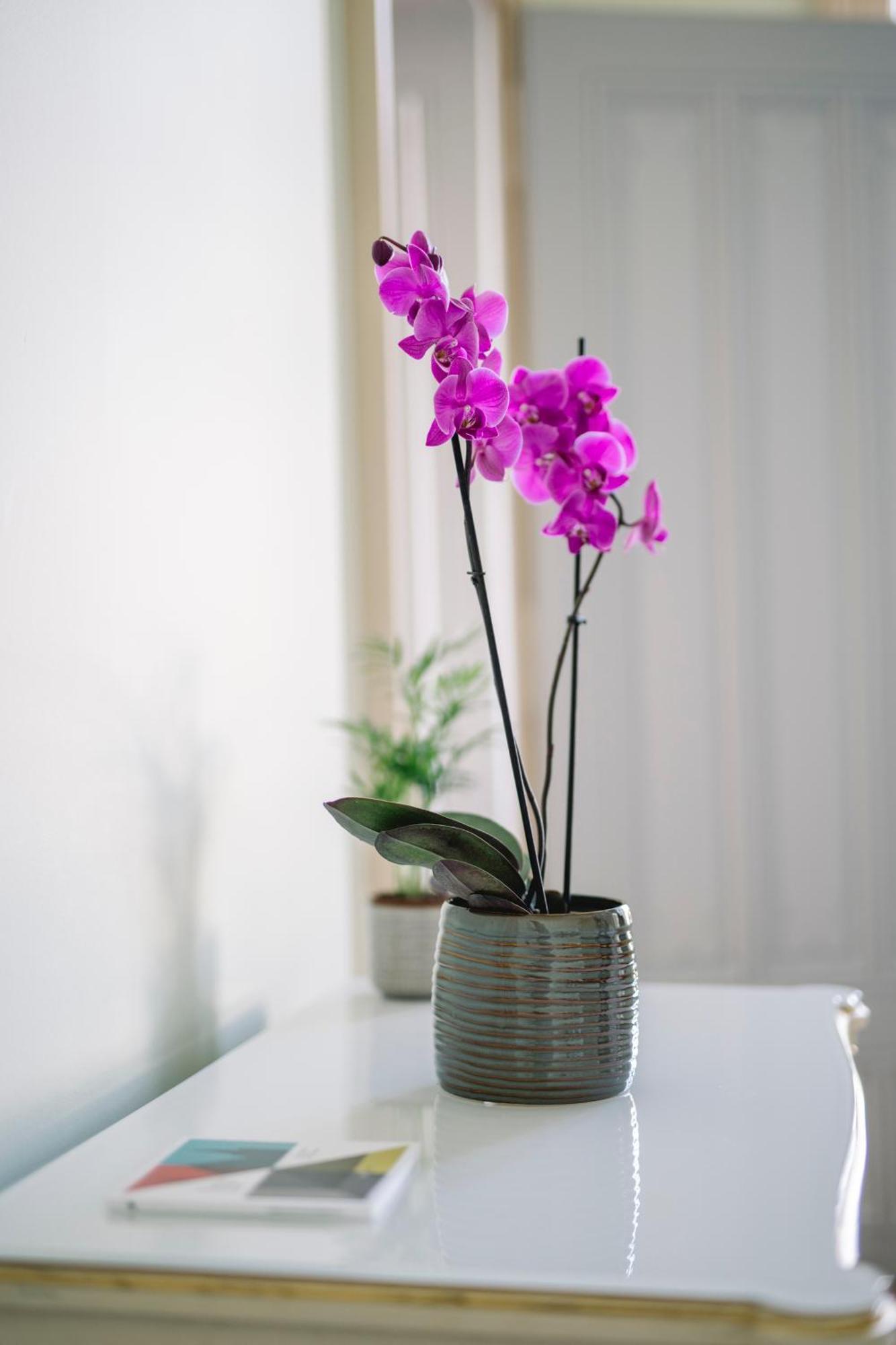 Chateau De L'Aile- Boutique Suites 브베 외부 사진